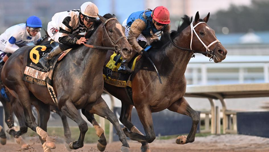 2026 Fountain of Youth Stakes, Gulfstream Park, Commandment, road to the Kentucky Derby